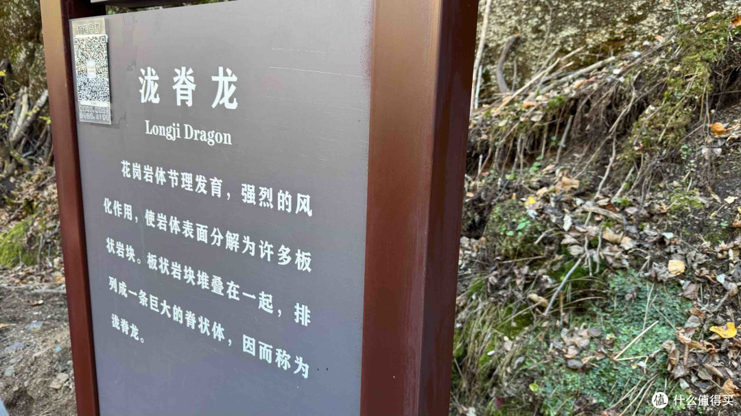 「伊春」国庆赏秋保姆级攻略：不止五花山色