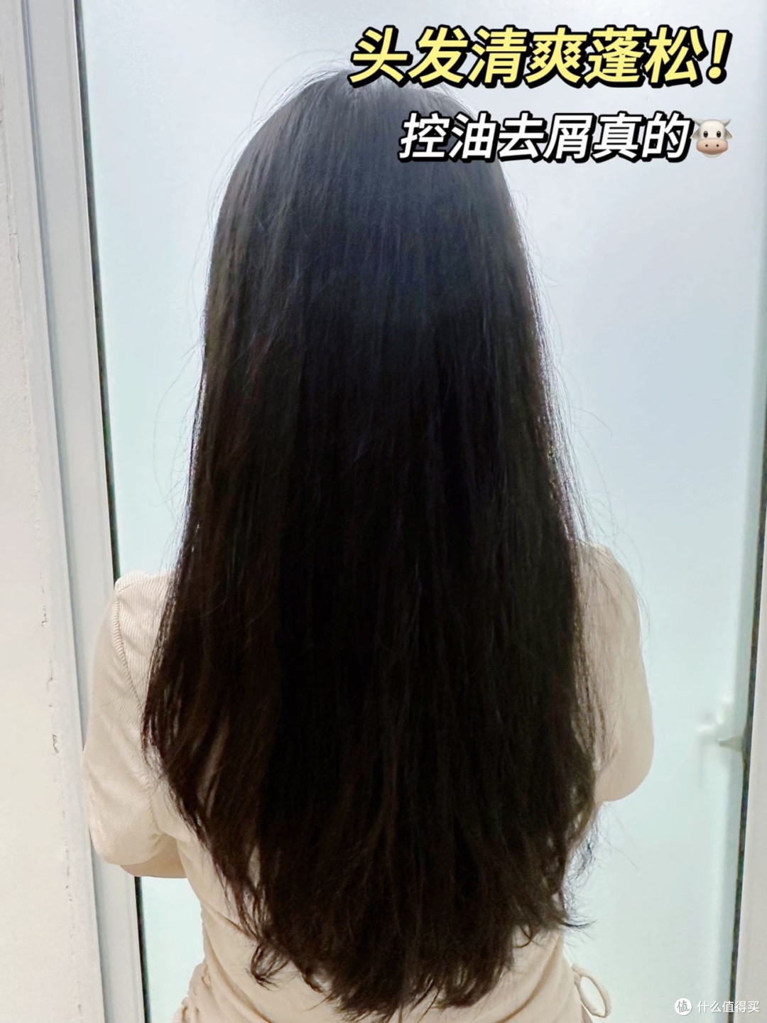 去屑控油洗发水选哪款?洗完快速清爽不闷头皮