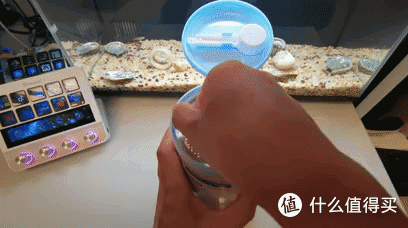 内行才懂的高端精品!被誉为蛋白粉里的胖东来---AQrin蛋白粉测评