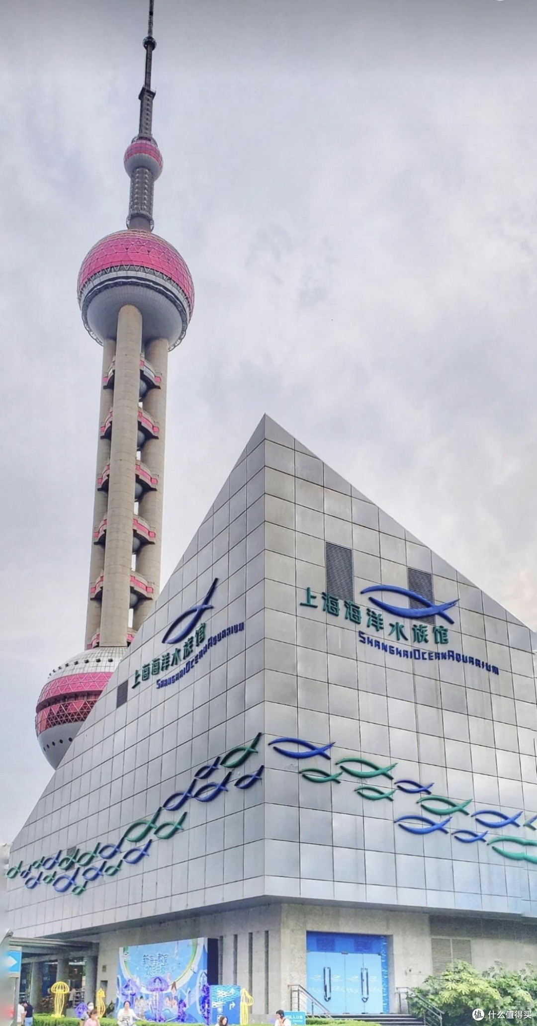 十一黄金周,探秘上海海洋水族馆——亲子共赴蓝色梦幻之旅!