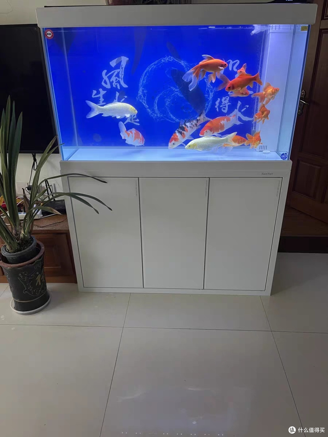 客厅森森超白鱼缸高贵优雅别致