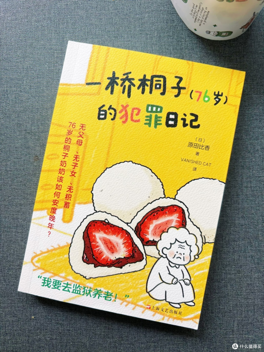读《一桥桐子(76岁)的犯罪日记》被养老故事戳中了心