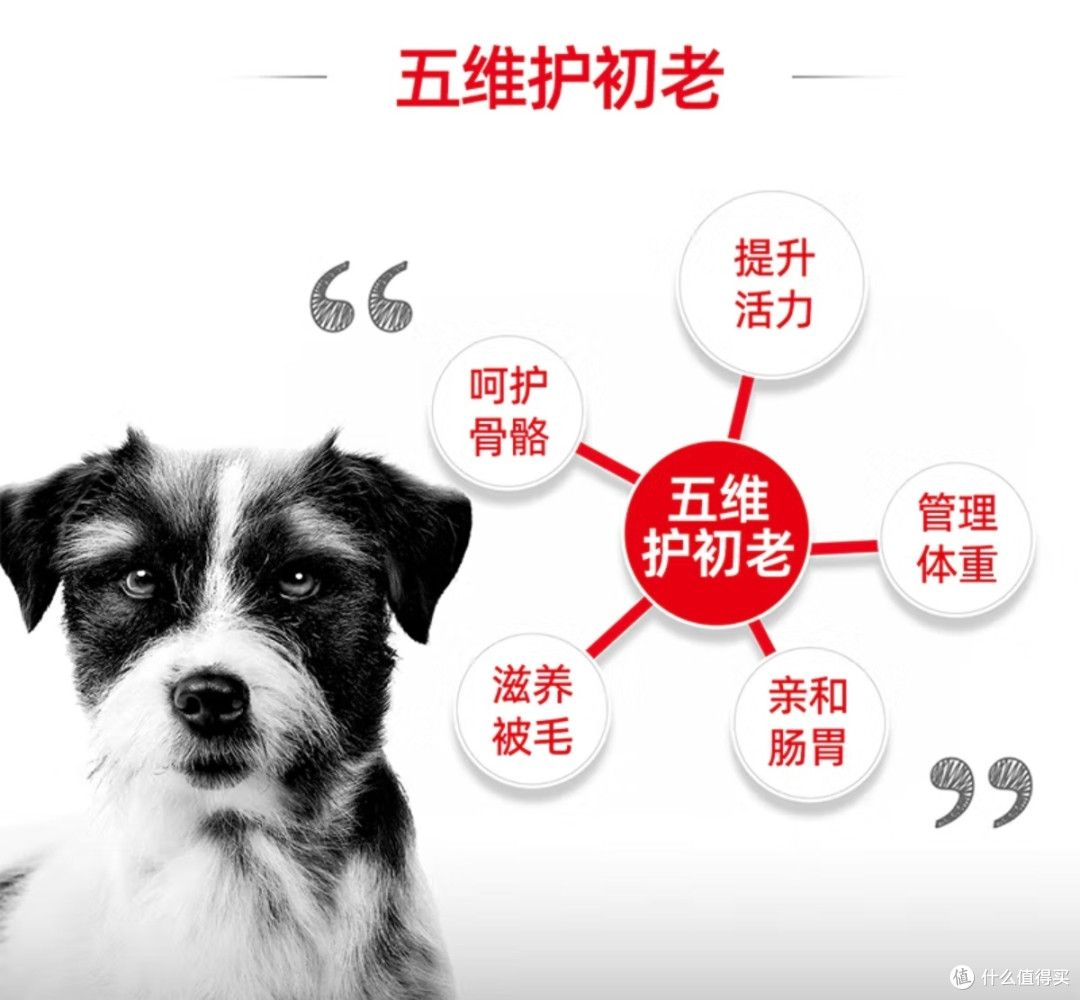 双11老年犬囤粮必冲:皇家SPR27,给老宝贝的“定制营养餐”