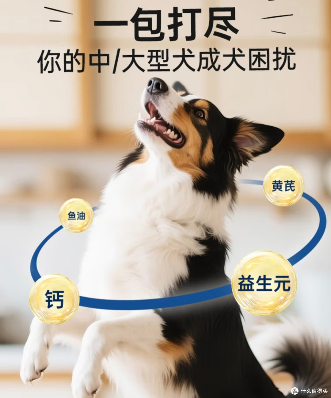 双11中大型犬囤粮天花板:伯纳天纯17kg大包装,喂饱猛犬还不心疼