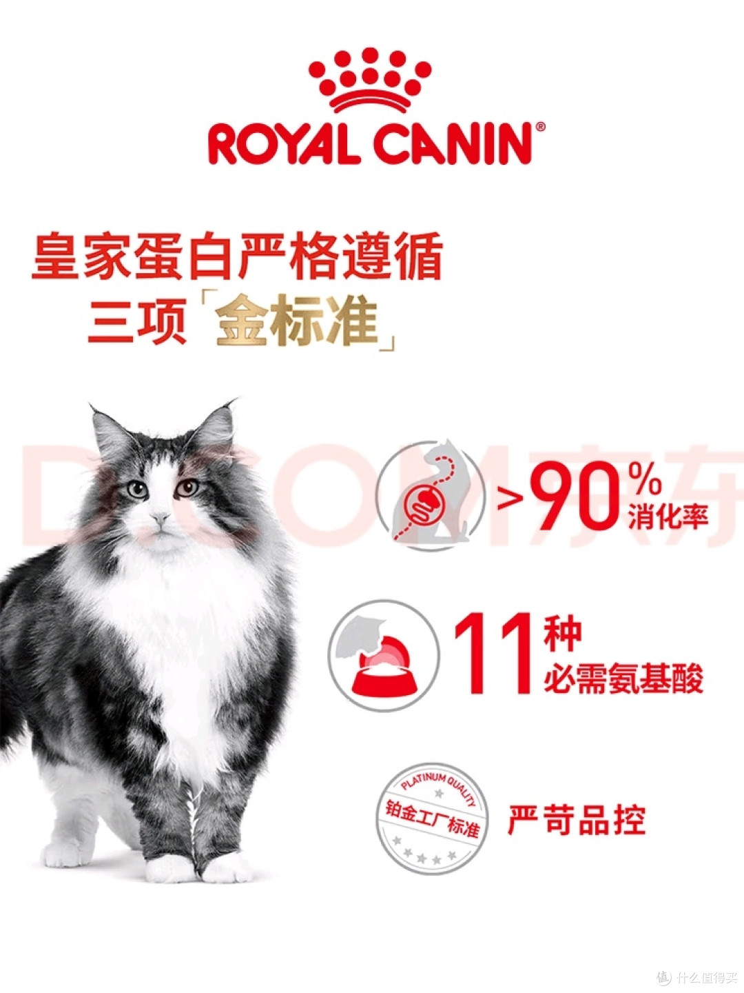 12月龄以上室内猫的精准营养选择