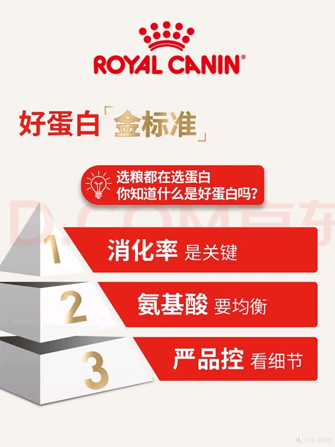 12月龄以上室内猫的精准营养选择