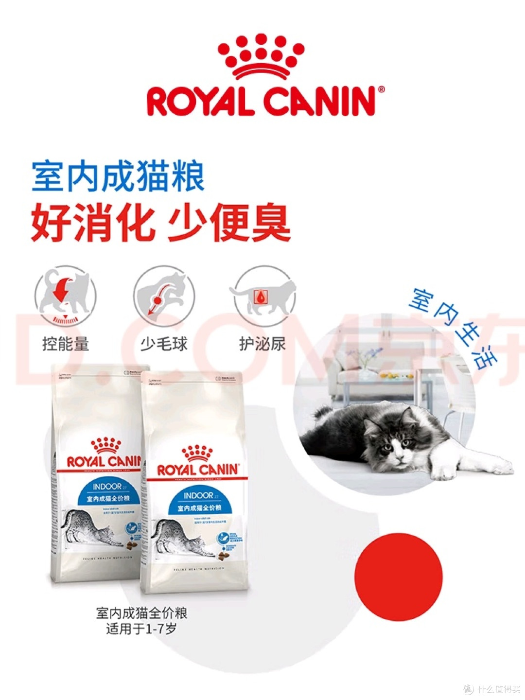 12月龄以上室内猫的精准营养选择
