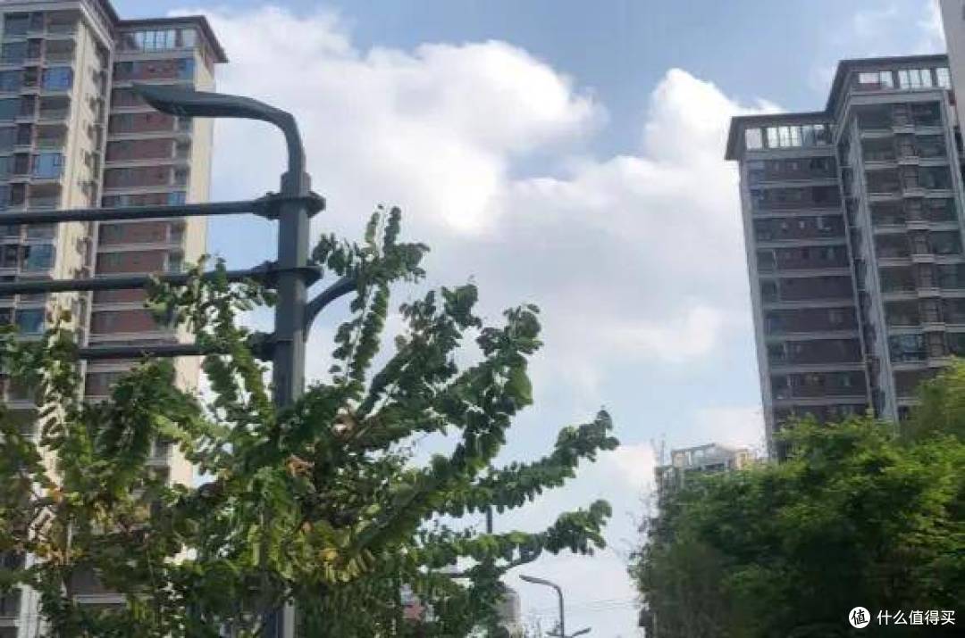 从“能量黑洞”到“光芒体”:我的30天高能量养成手记