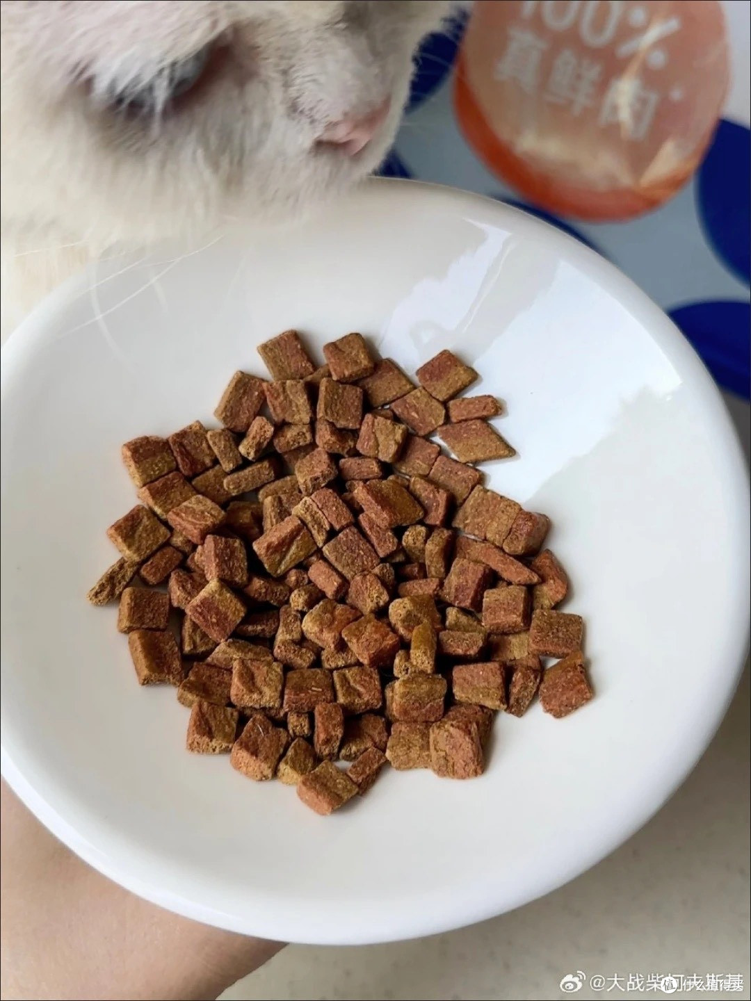 海洋之星低温烘焙猫粮营养评测