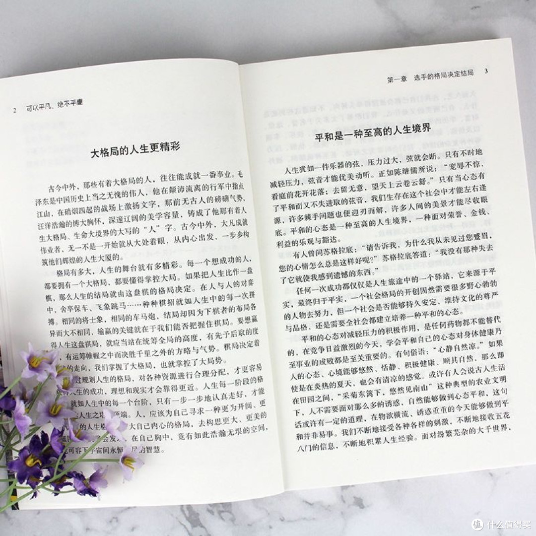双11精神食粮:这本励志书,教我“可以平凡,绝不平庸”