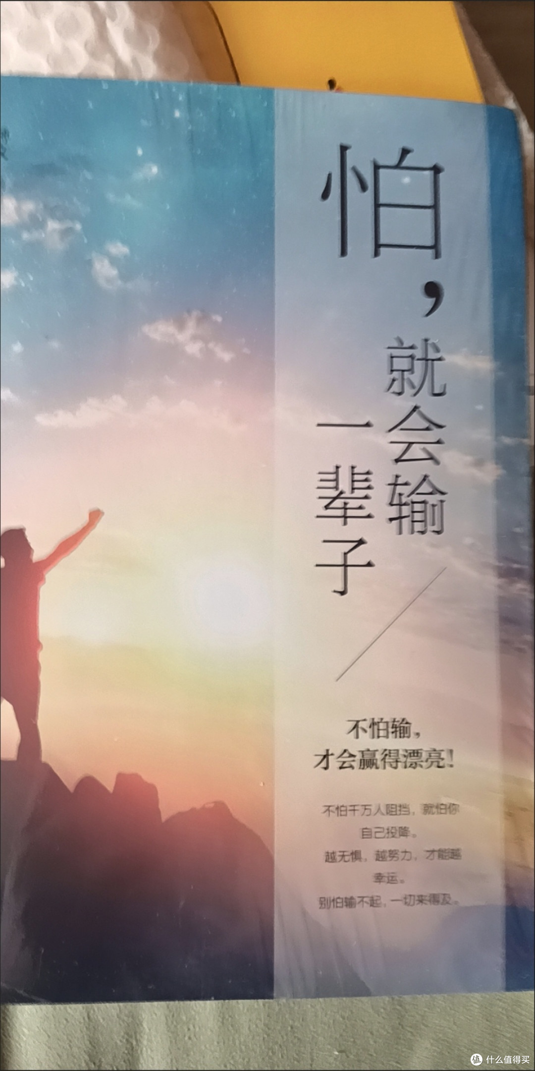 双11精神食粮:这本励志书,教会我“别怕,输不起的是勇气”