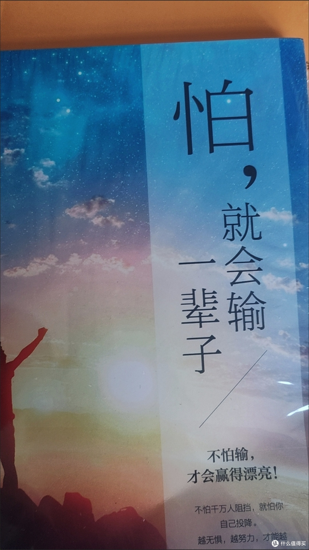 双11精神食粮:这本励志书,教会我“别怕,输不起的是勇气”
