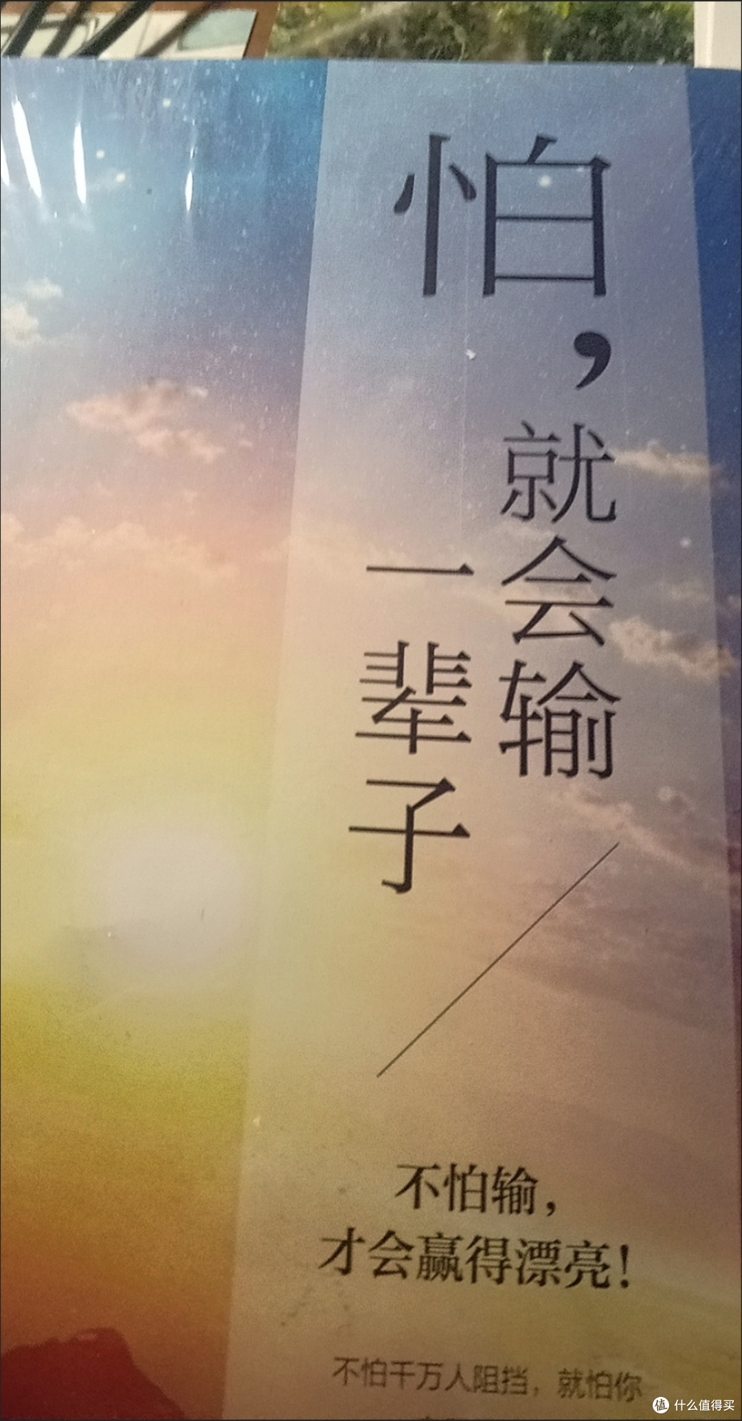双11精神食粮:这本励志书,教会我“别怕,输不起的是勇气”