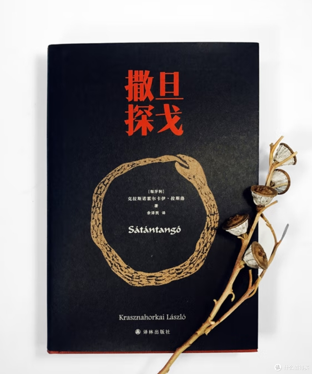 在末日狂欢中叩问存在,这些诺奖作品值得一读