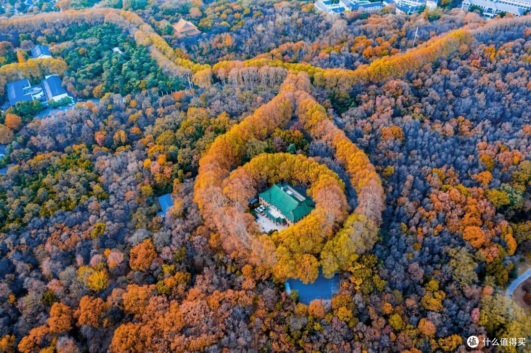 即将秋色封神的城市,总得来这里走走吧!