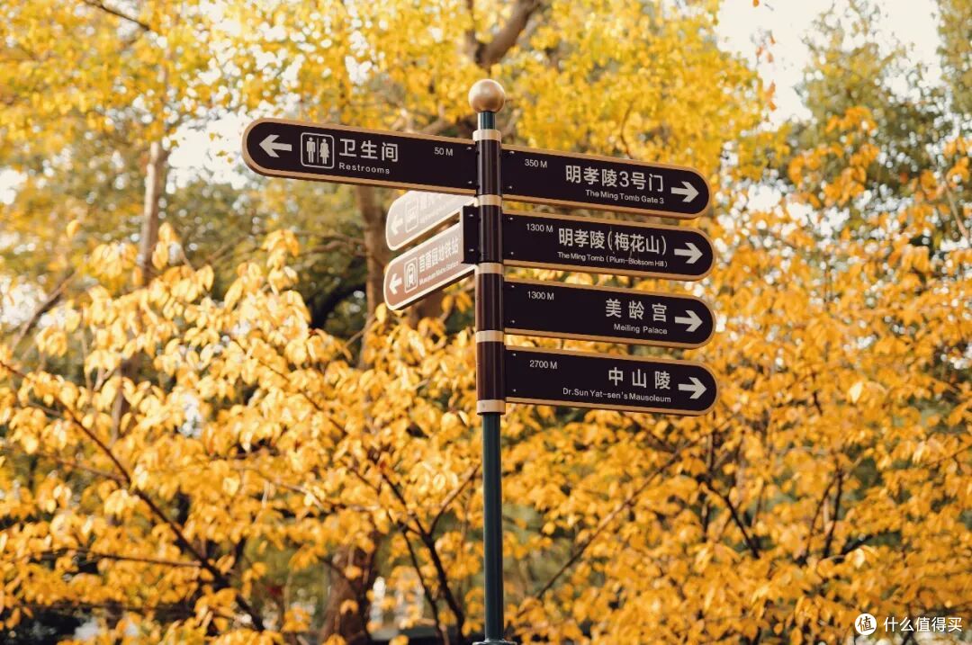 即将秋色封神的城市,总得来这里走走吧!