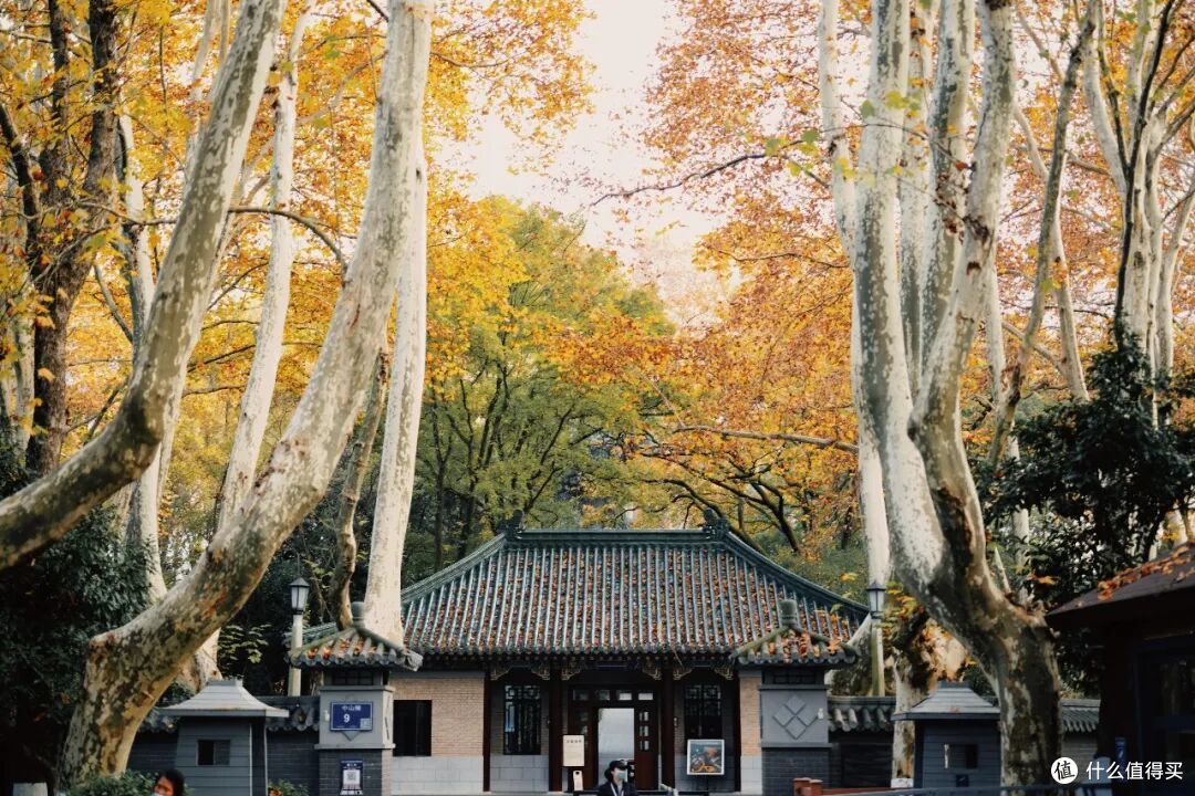 即将秋色封神的城市,总得来这里走走吧!