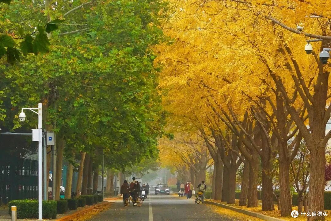 即将秋色封神的城市,总得来这里走走吧!
