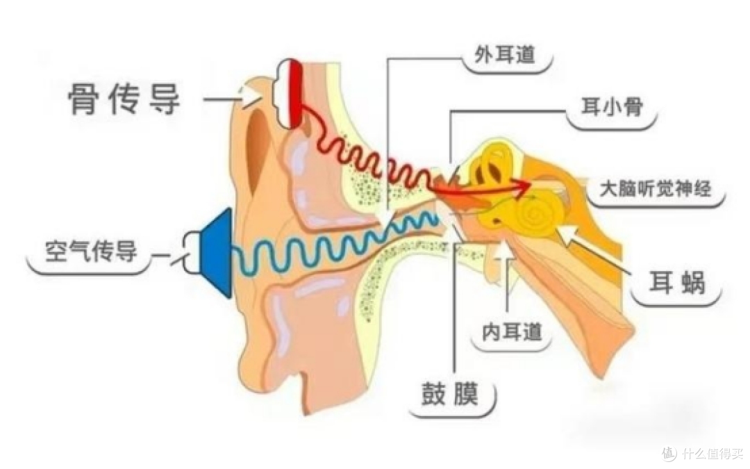 开放式耳机适用于什么场景?热门开放式耳机推荐
