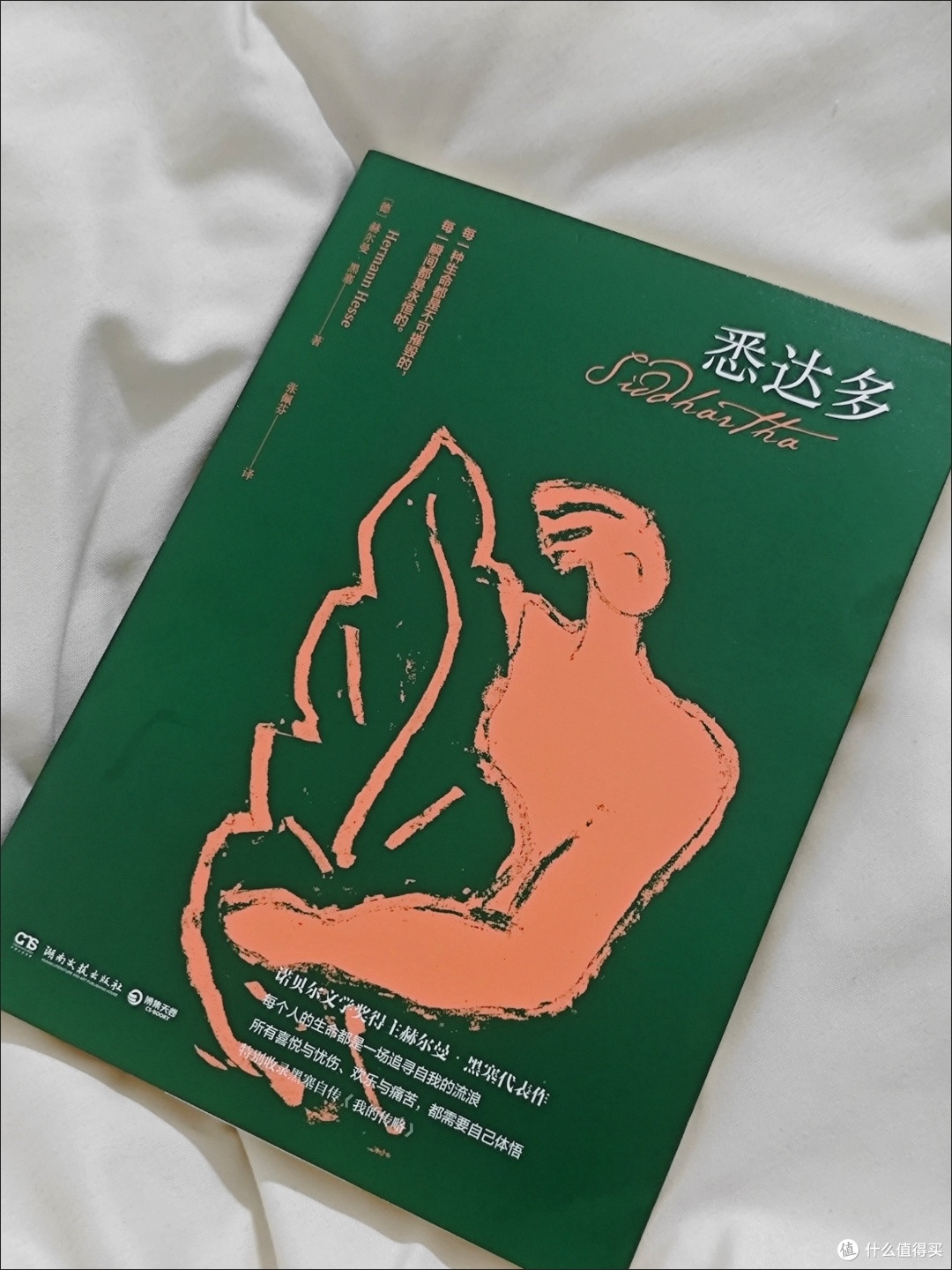 悉达多:追寻生命意义的旅程