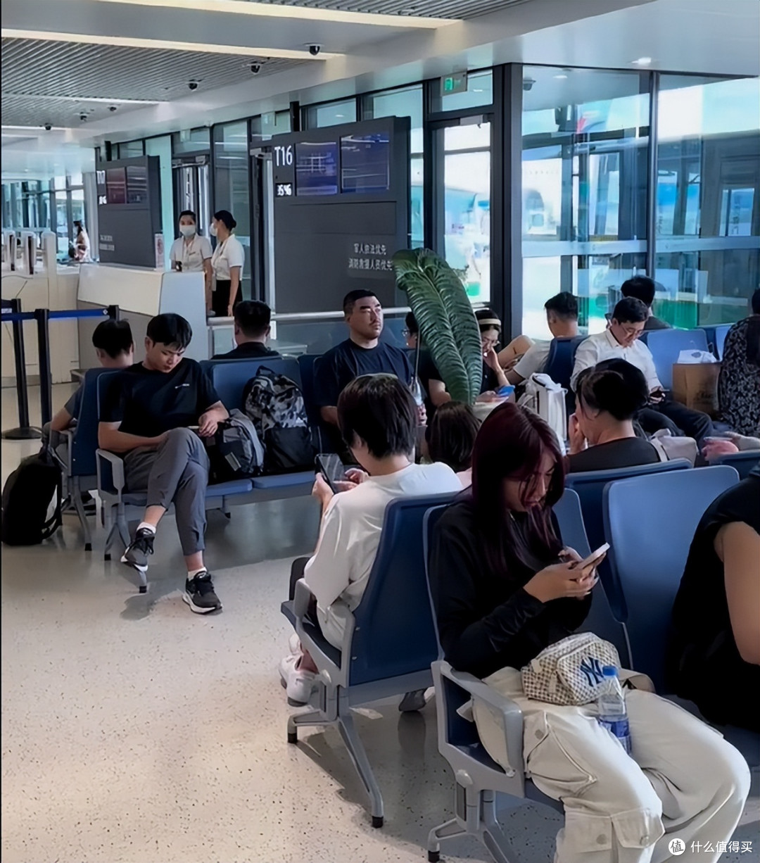 男子因“抱1.2米树叶坐飞机”火上热搜，网友：跟举扇子宫女似的