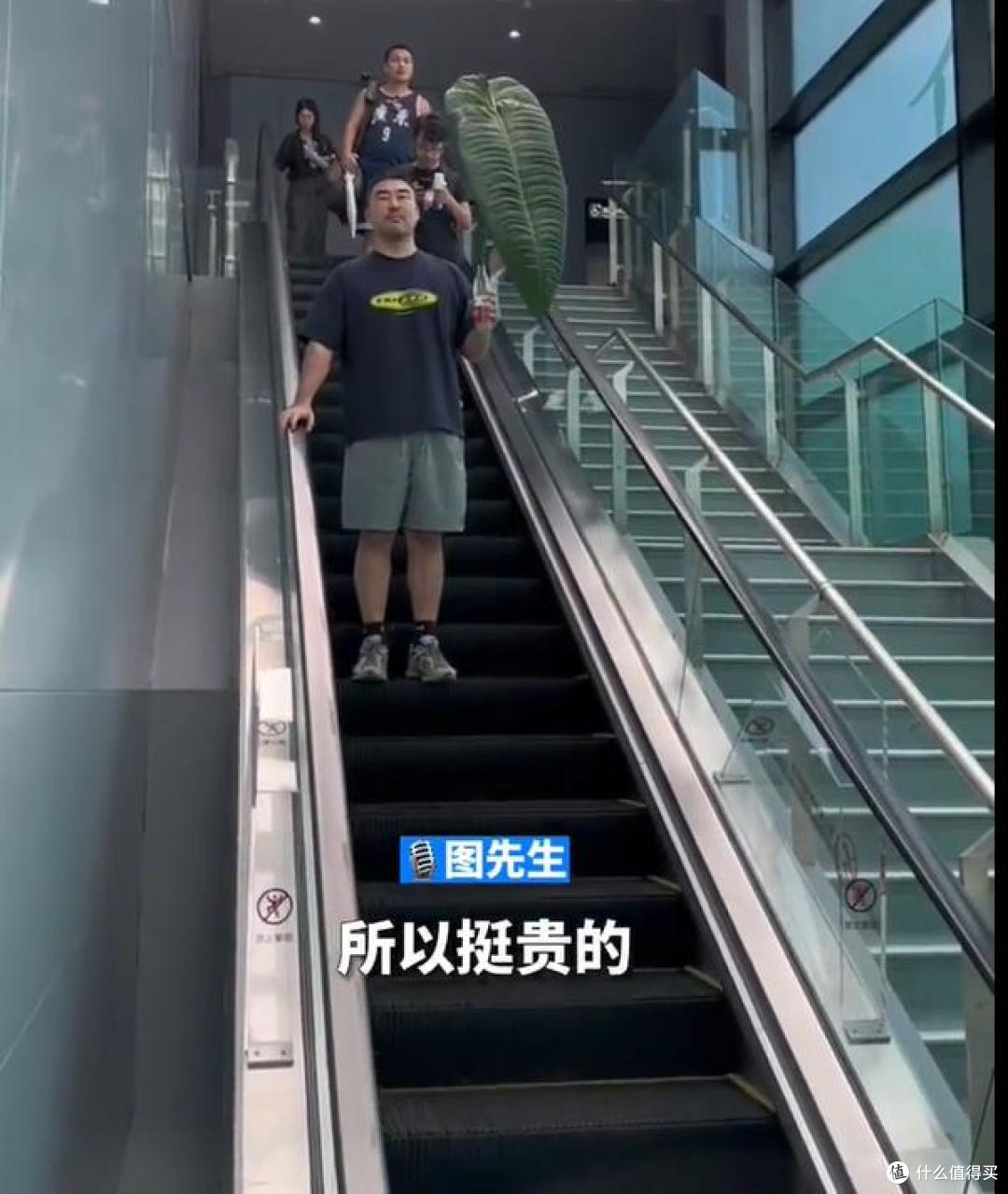 男子因“抱1.2米树叶坐飞机”火上热搜，网友：跟举扇子宫女似的