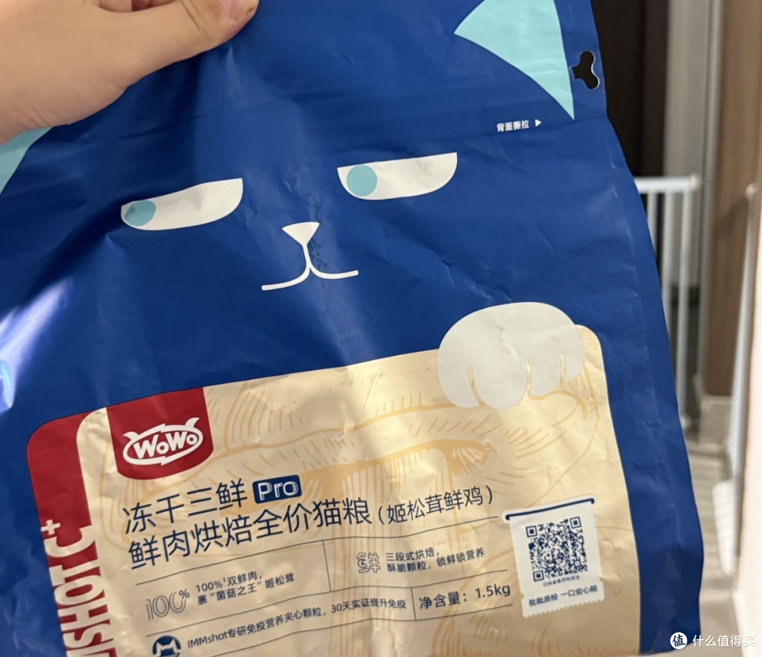 WoWo大蓝包Pro升级攻略