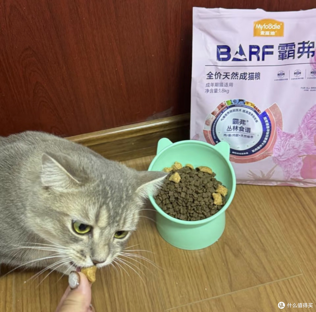 京东物流助力双十一养宠囤粮
