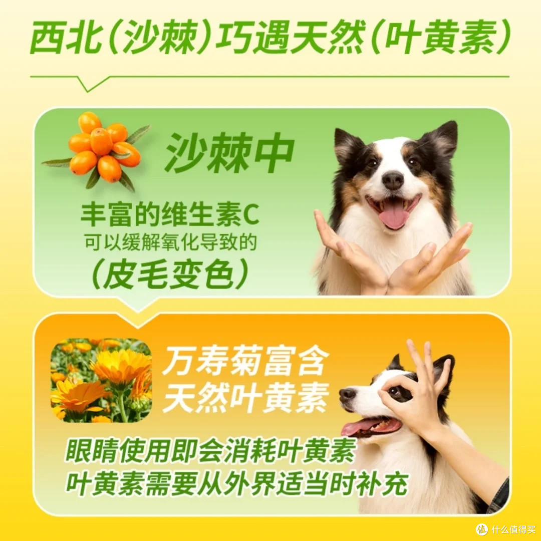 中小型犬营养全面狗粮推荐