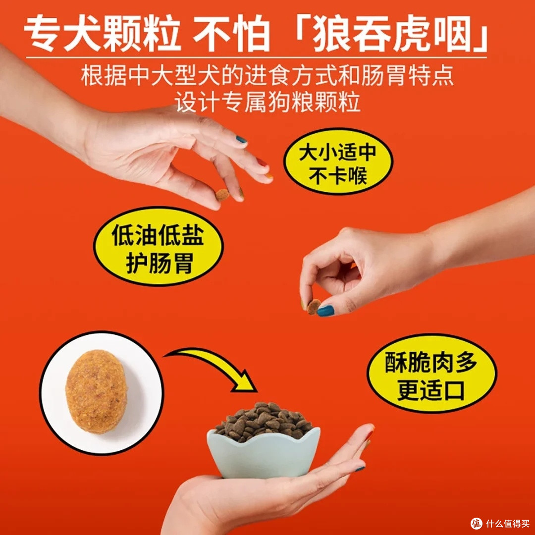 中大型犬狗粮选购指南