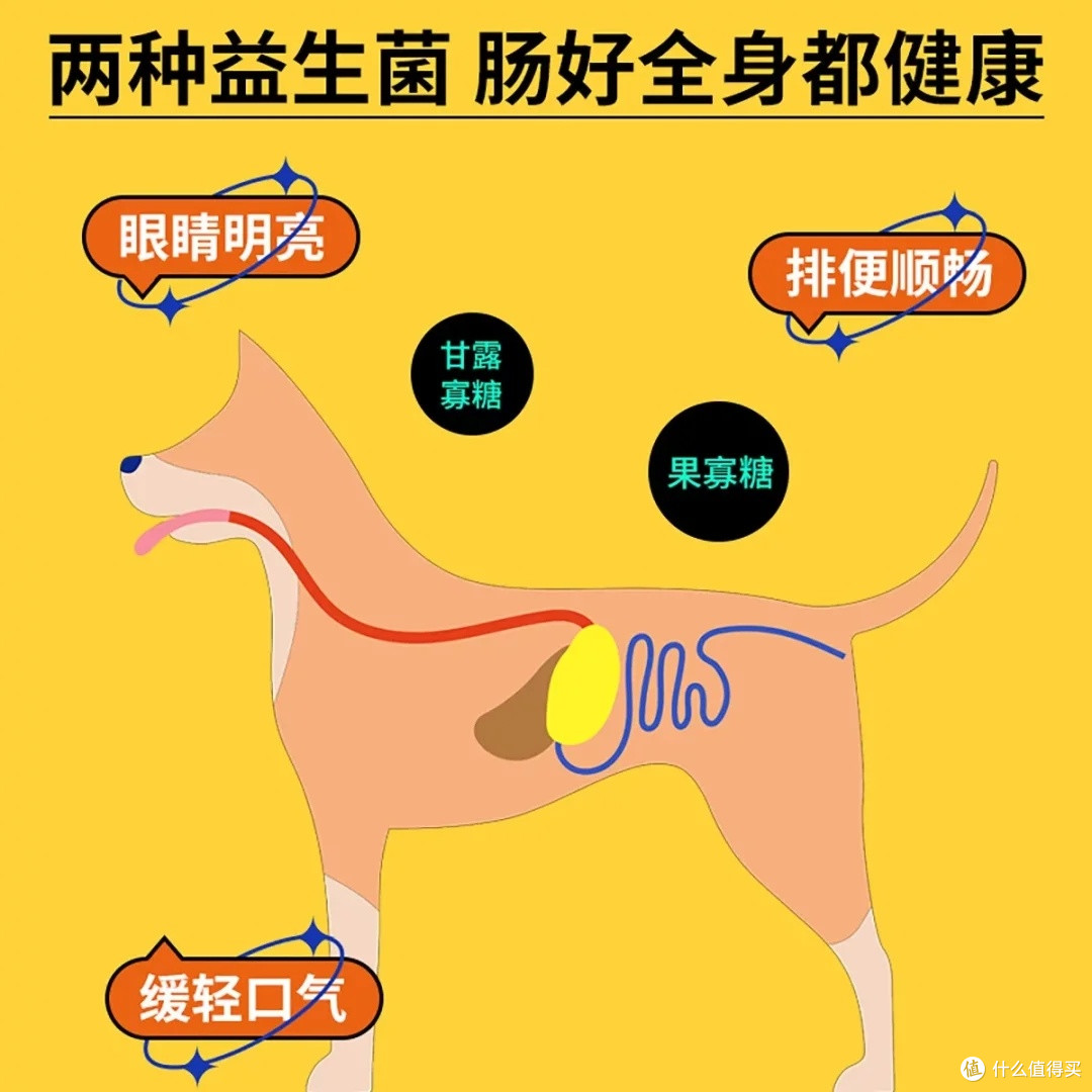 中大型犬狗粮选购指南
