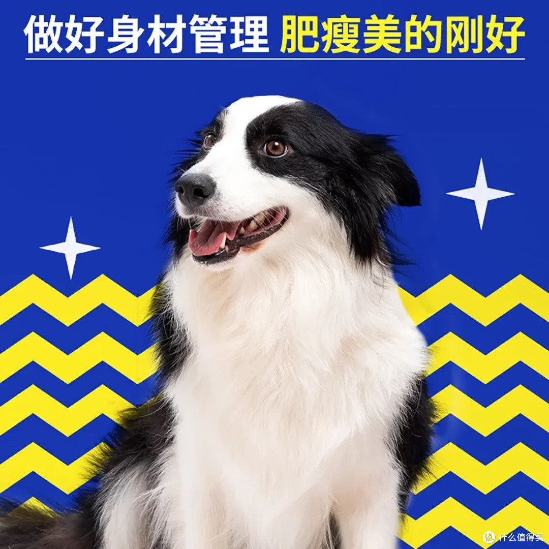 中大型犬狗粮选购指南
