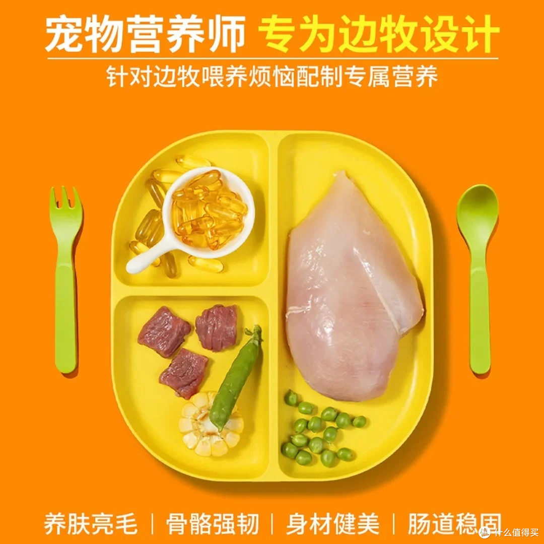 中大型犬狗粮选购指南