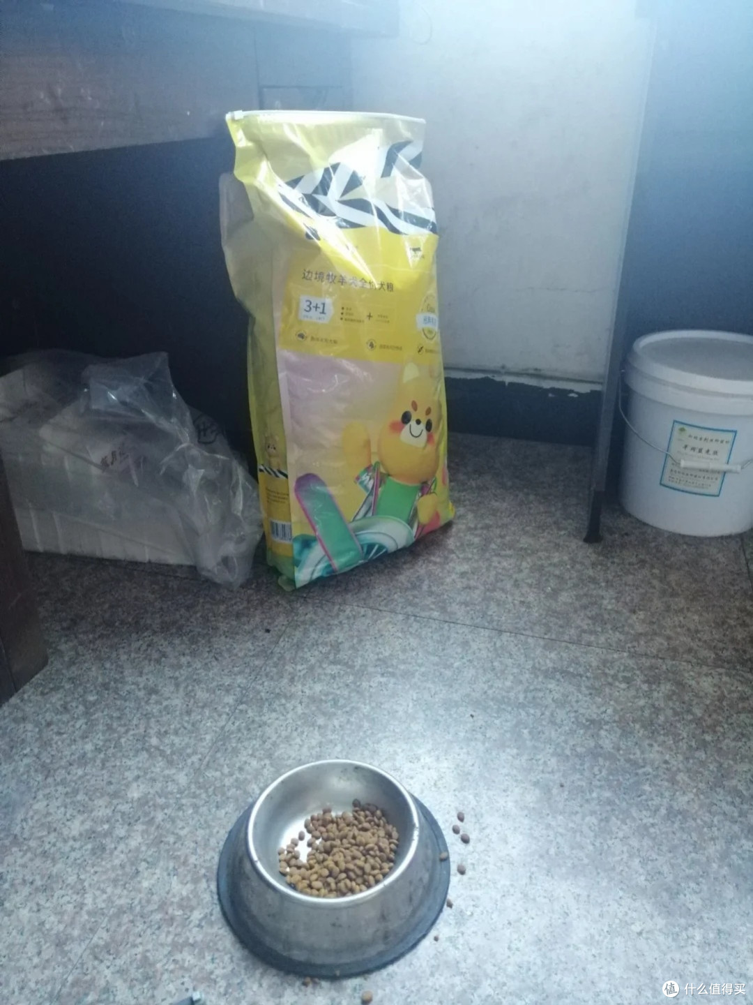 中大型犬狗粮选购指南
