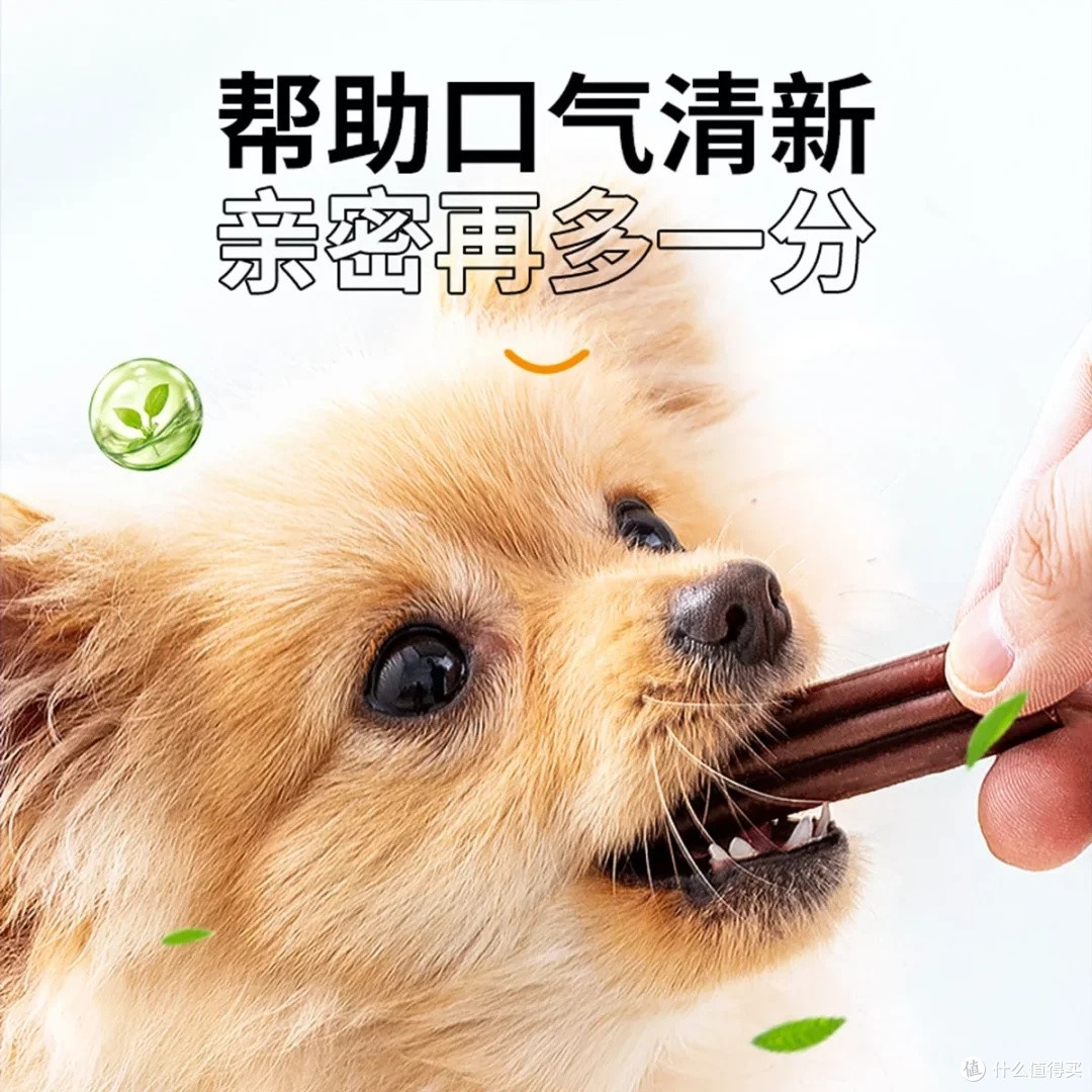 双十一优惠：幼犬磨牙棒推荐
