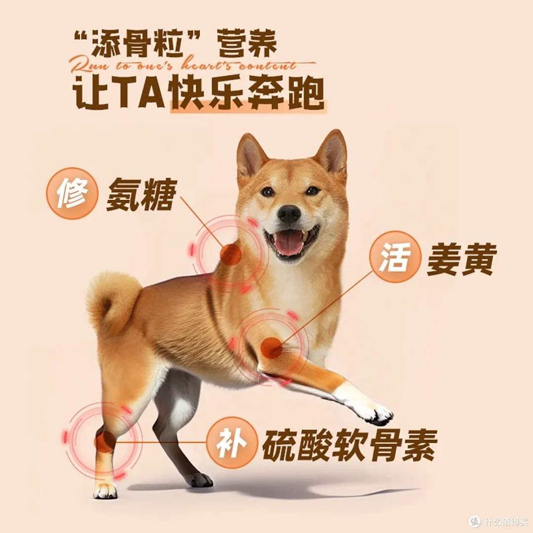 WOWO喔喔狗粮:科学配方与关节呵护