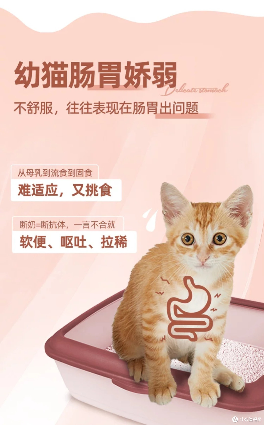 WOWO喔喔幼猫粮:科学配方呵护成长