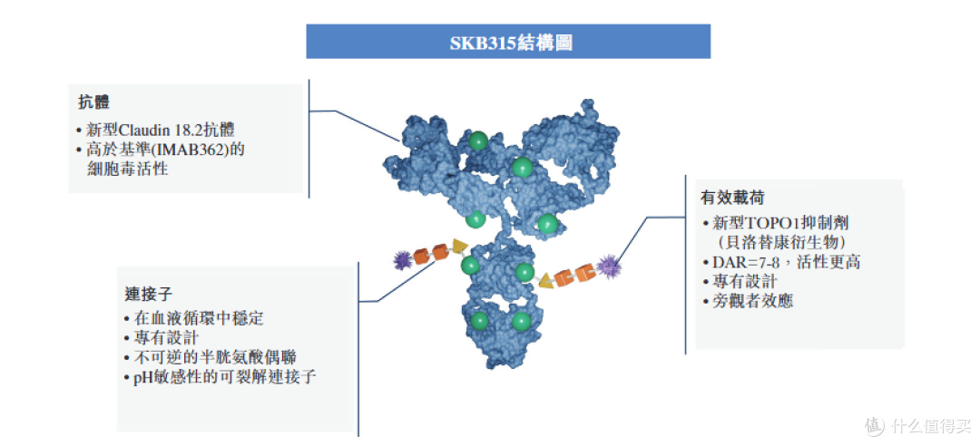 CLDN18.2 ADC再添强将！SKB315惊艳亮相ESMO