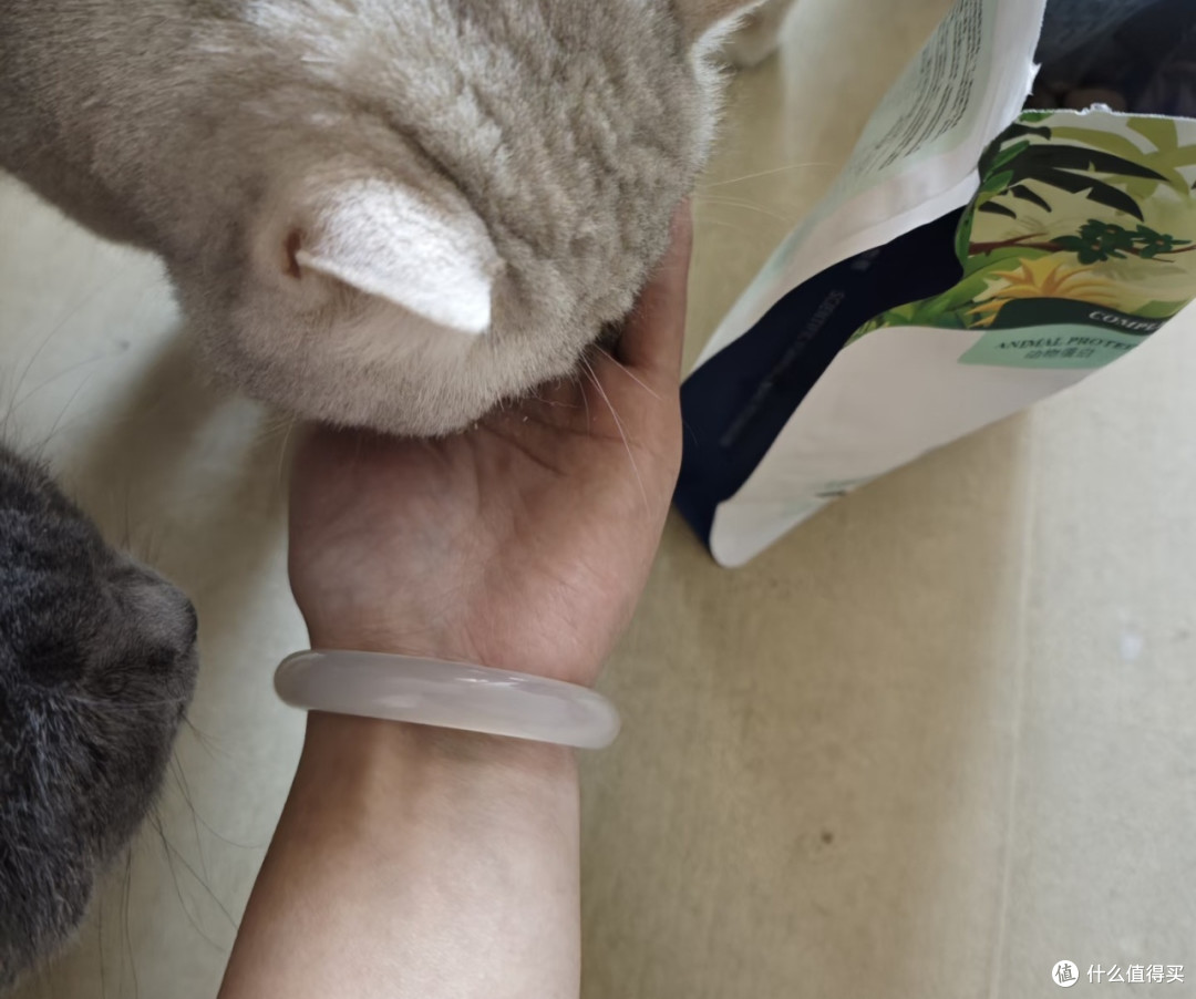 双十一喵星人猎奇口味清单