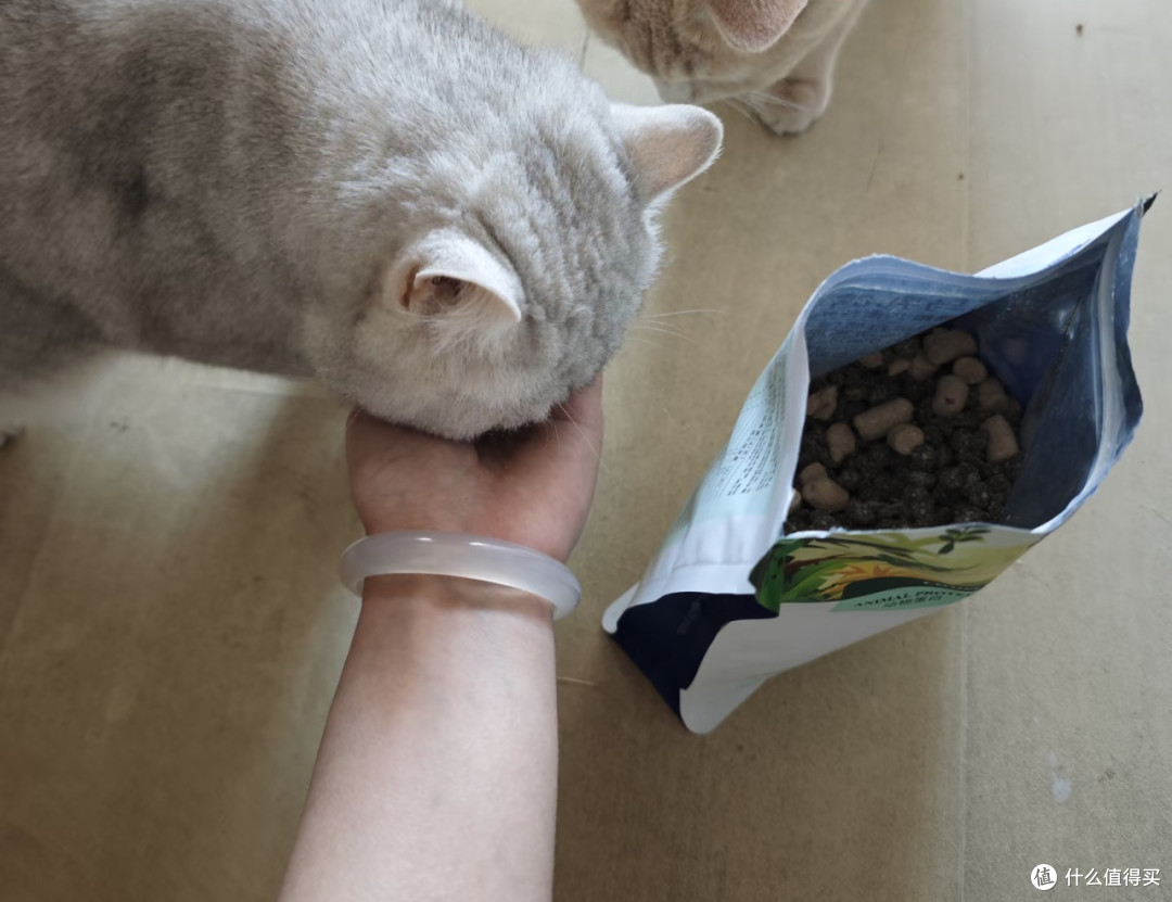 双十一喵星人猎奇口味清单