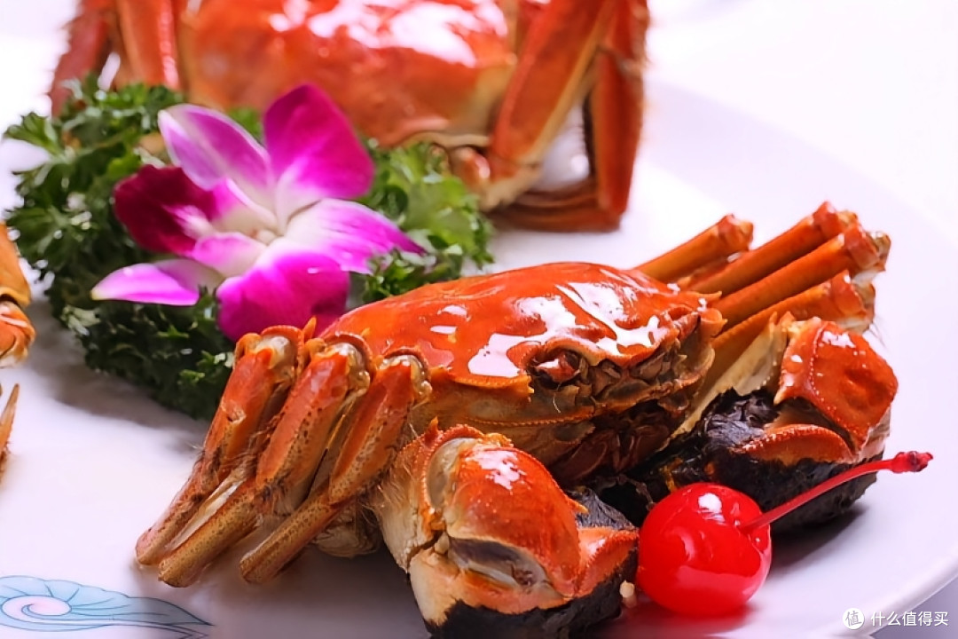 螃蟹死后食用安全性的科学探讨