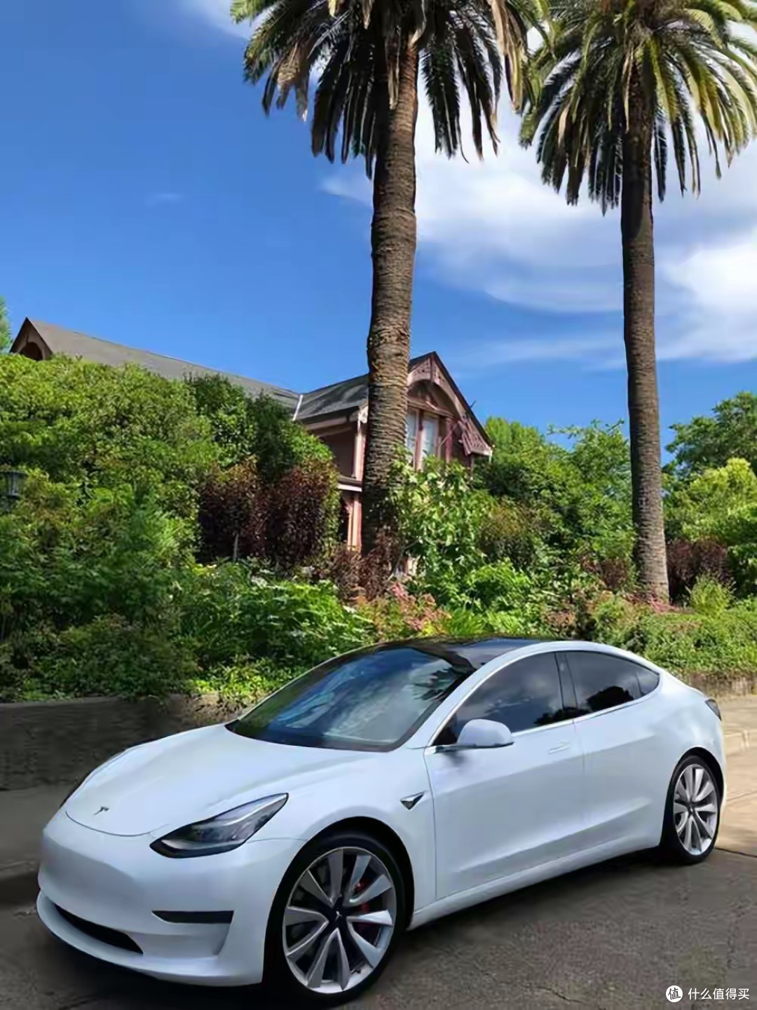 特斯拉FSD翻车!闯红灯还撞车,美国查288万辆,中国版丝毫不慌