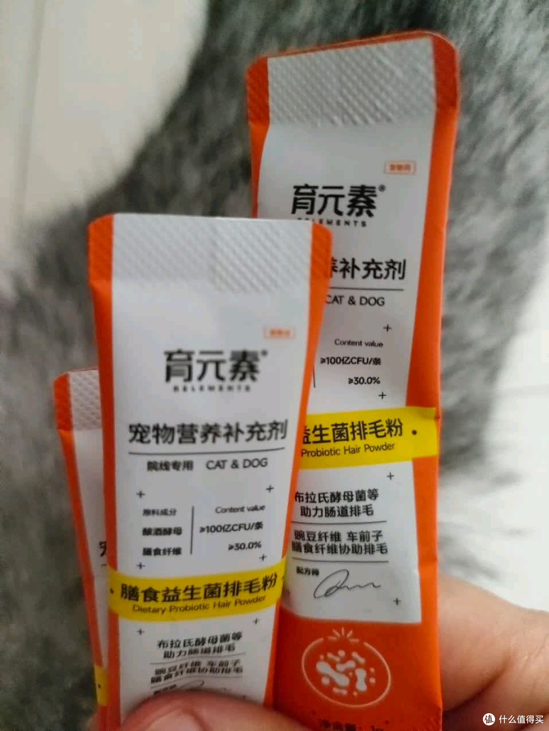 高活性益生菌,开胃养胃好帮手
