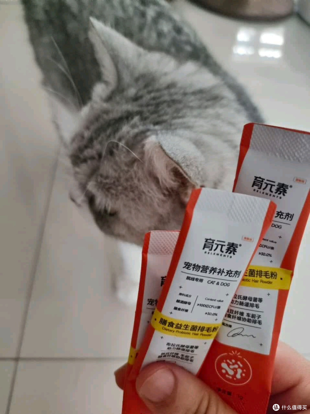 高活性益生菌,开胃养胃好帮手