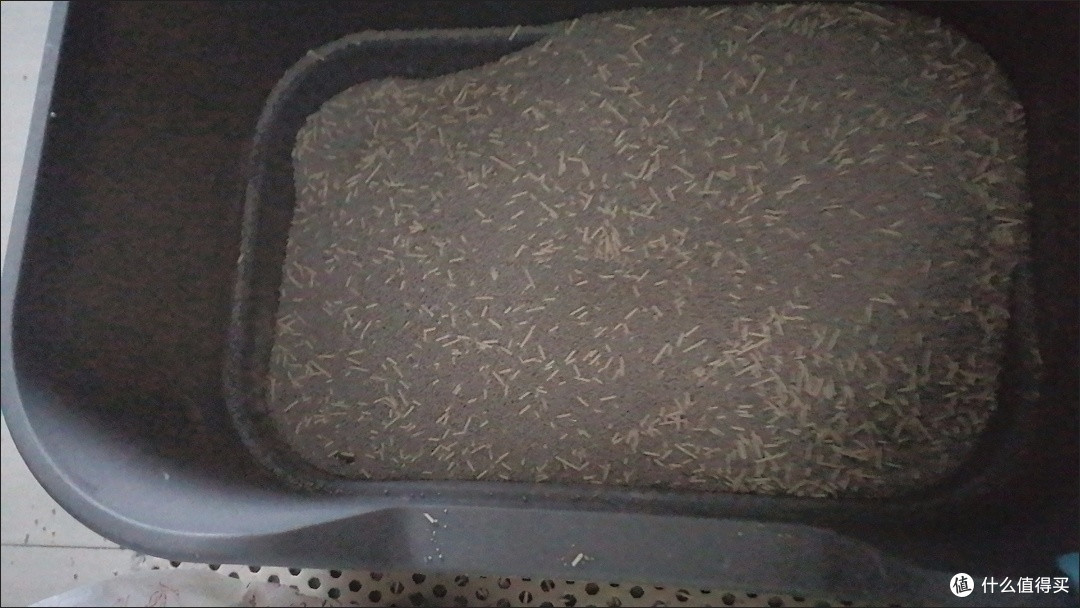 双十一囤猫砂认准它！捷特膨润土猫砂，铲屎官的省心之选