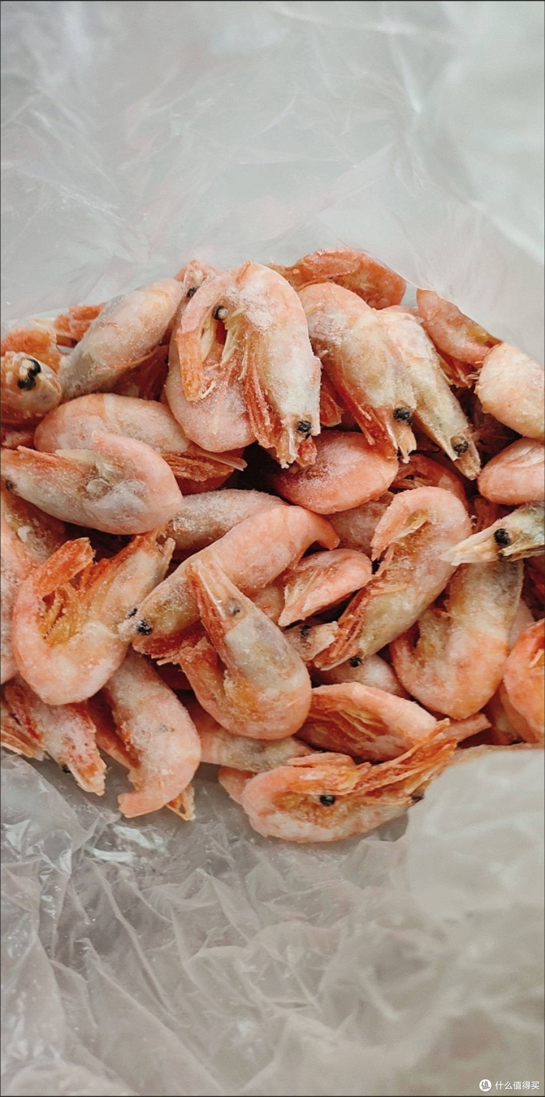 双十一挖到宝！北海湾北极甜虾，一口沦陷的极地鲜滋味