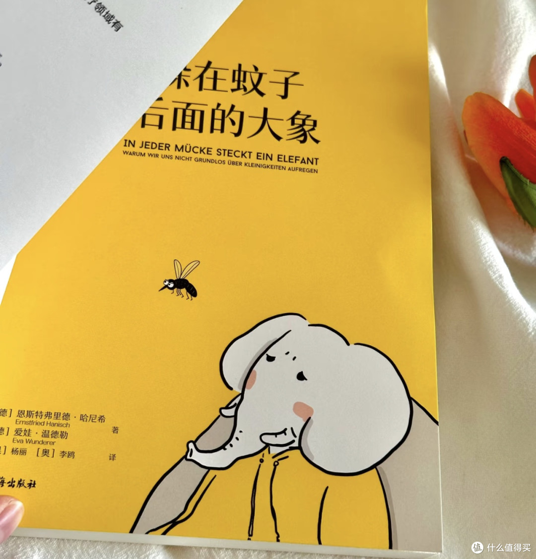 双11精神食粮：治愈情绪的书