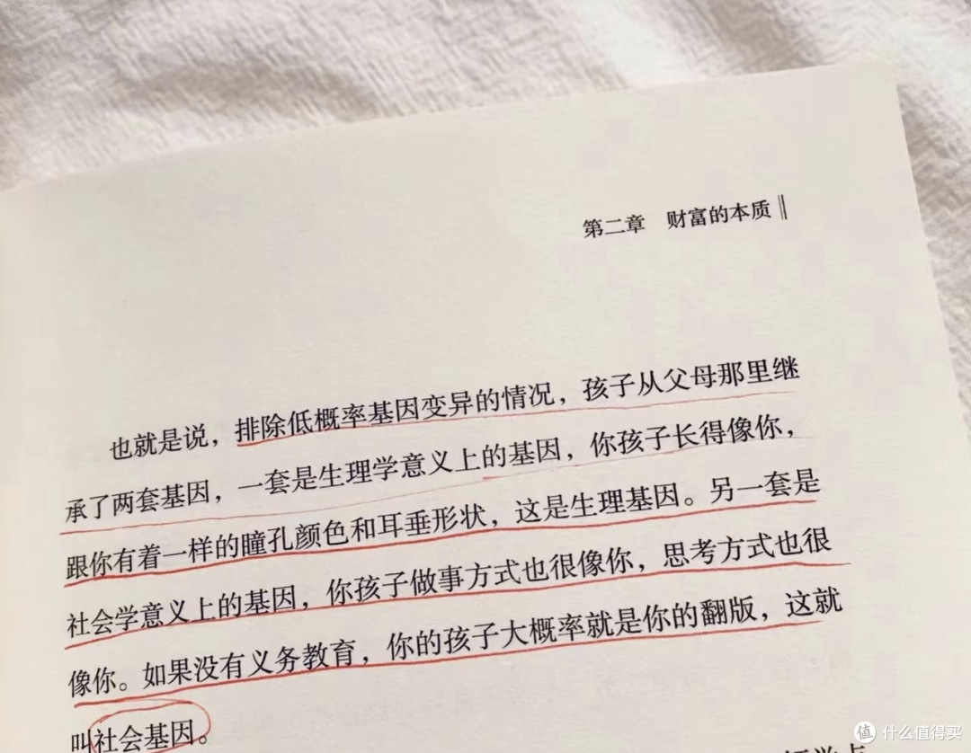 《向上生长》:跑起来,生活自有风