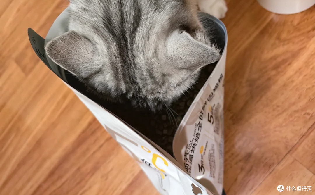 双11囤粮实测:猫咪夏倦食欲救星