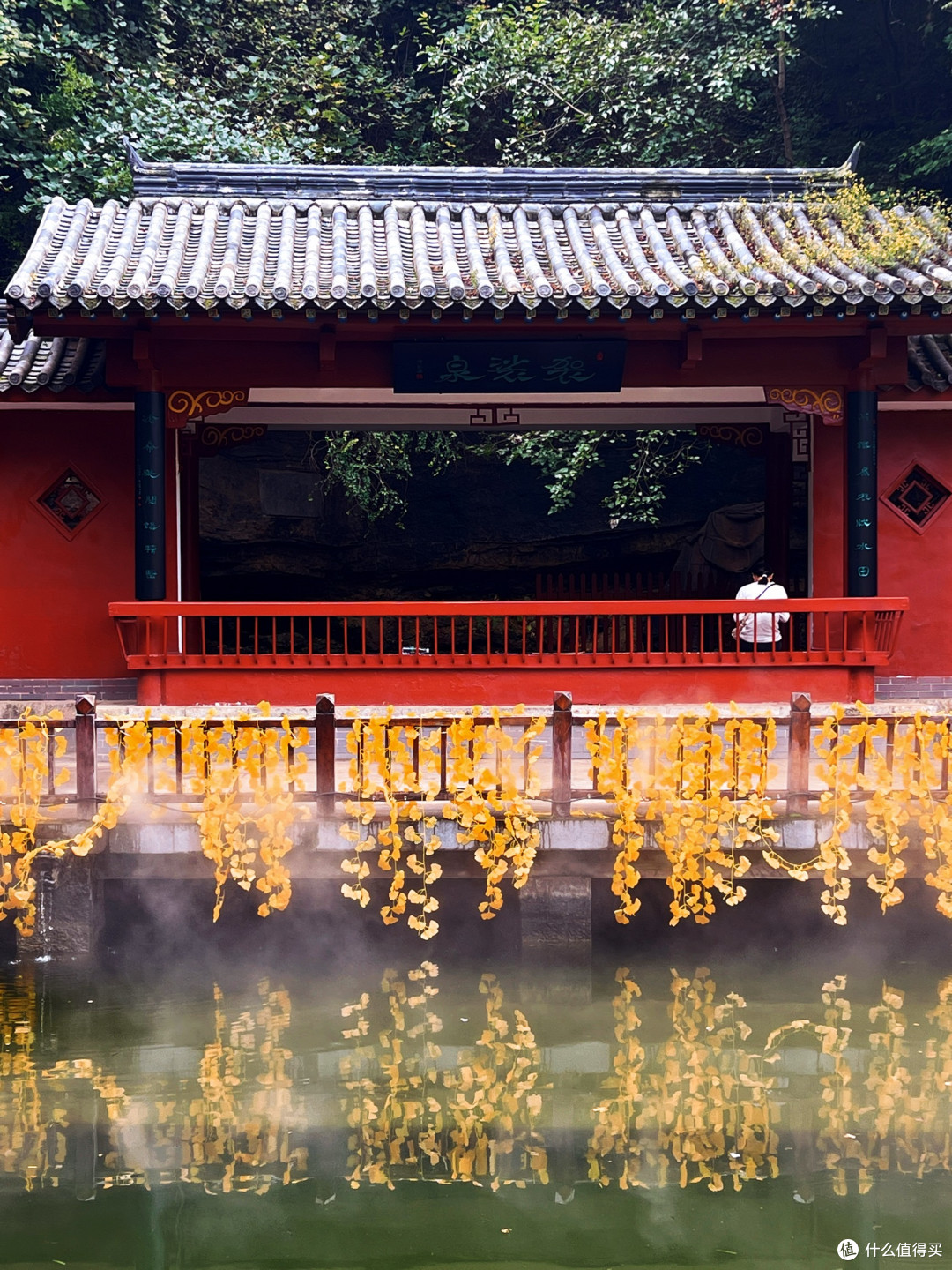 我的秋日相册｜抬头看景，低头赏泉，美美美！